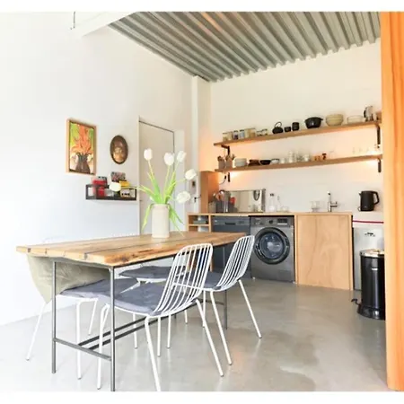 Studio Branche Industriel Avec Terrasse Et Jardin Apartament